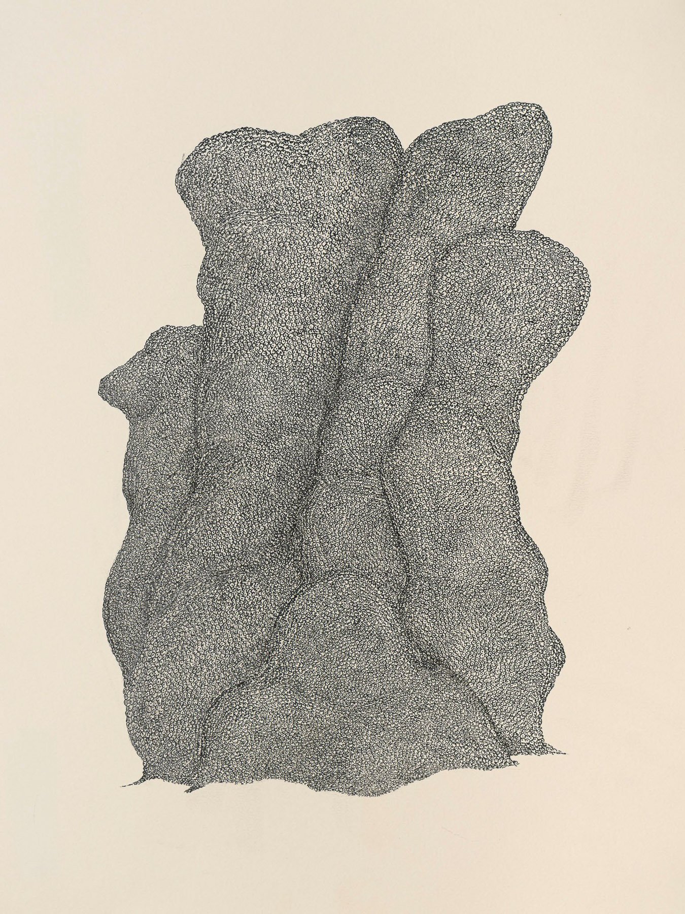 Estudio Coral 07