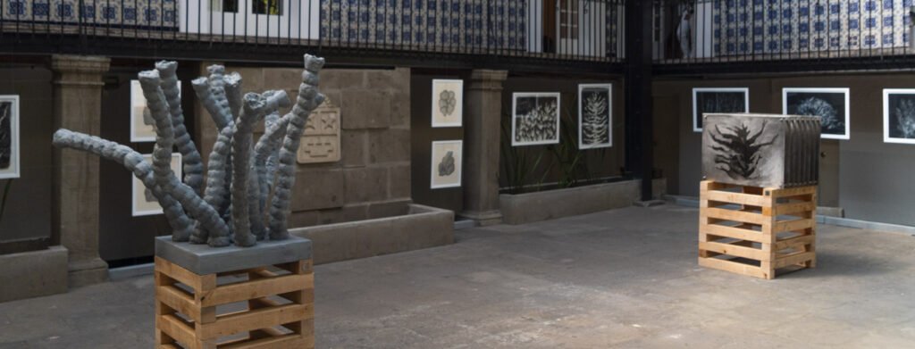 Ciudad de México